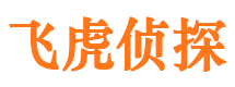 崇阳外遇调查取证